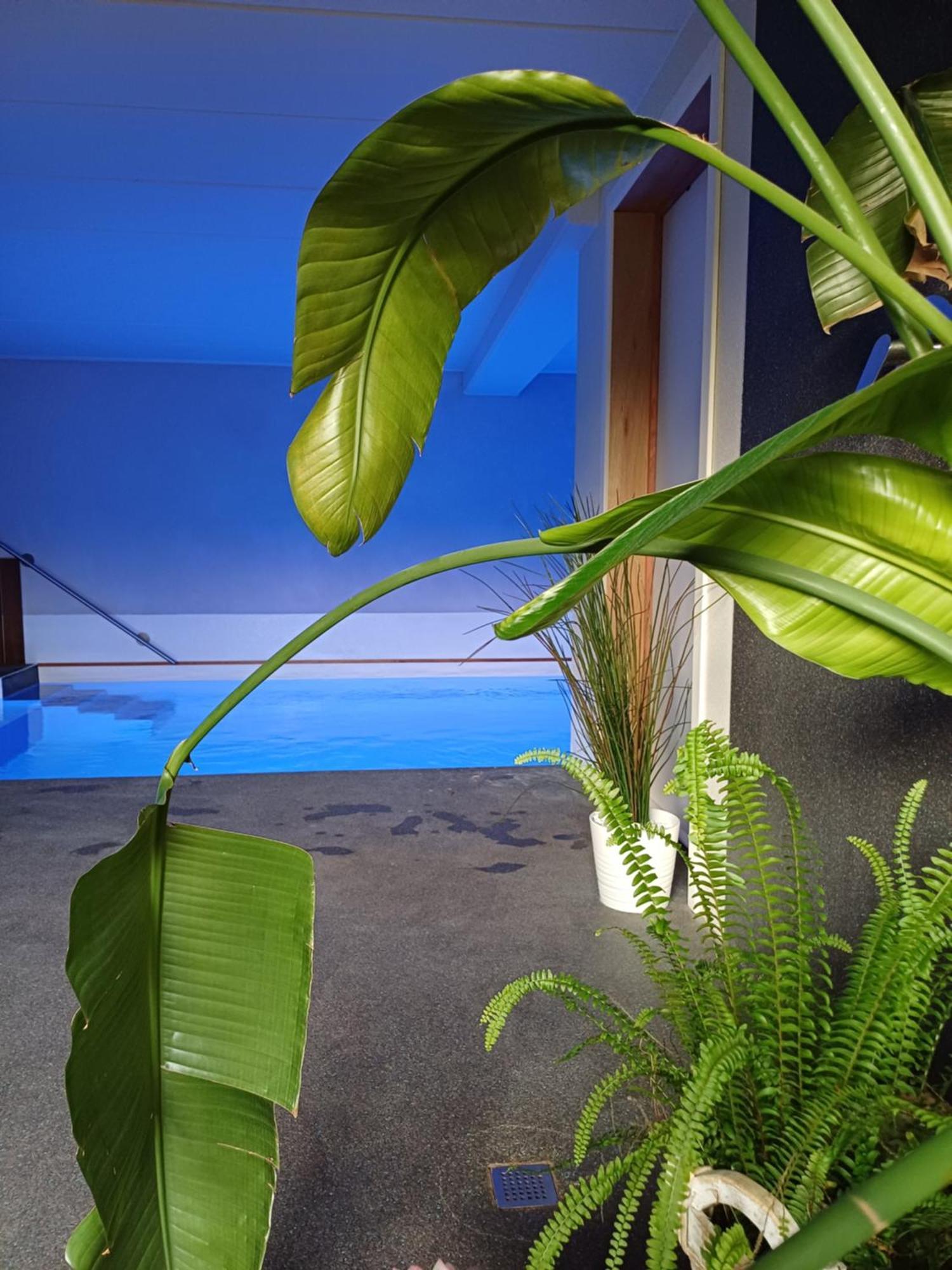 La Chamallow Coeur D'Artichaud 迪南 外观 照片